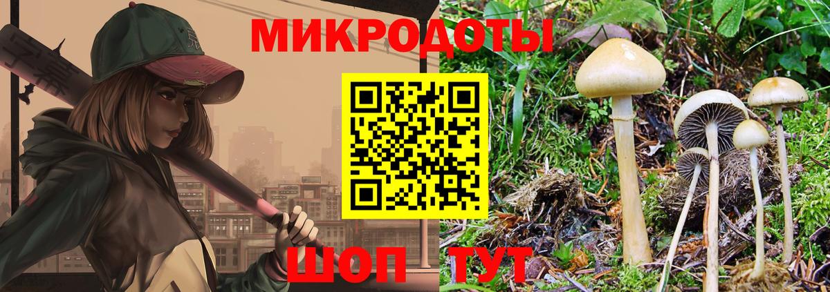 Дзержинск  Псилоцибиновые грибы Cubensis  Вход с VPN 