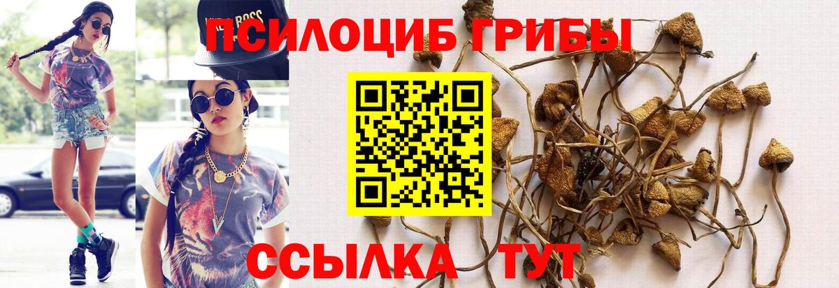 Псилоцибиновые грибы прущие грибы Дзержинск